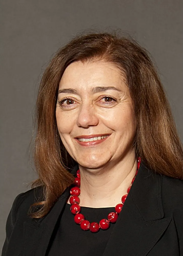 Dr. Lina Feldman, MD - Reading, MA - Internal Medicine