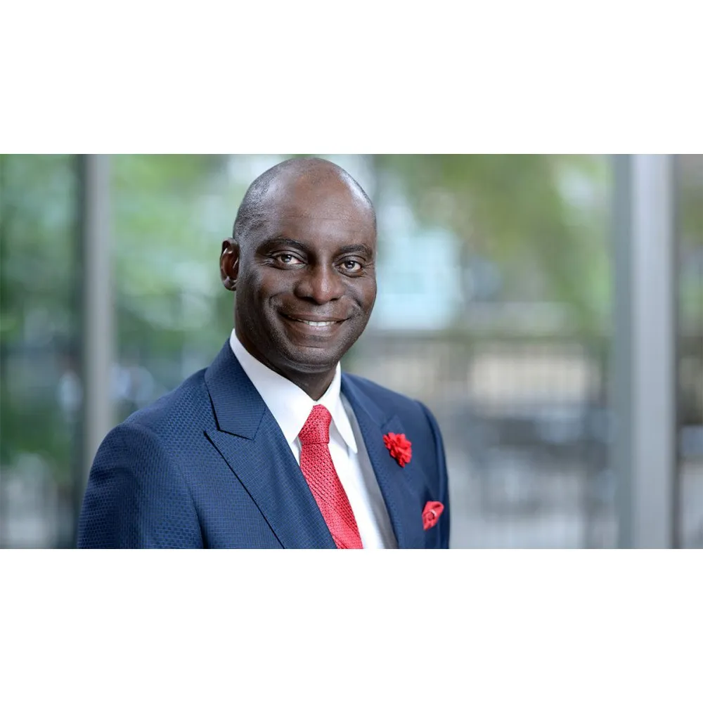Dr. Kojo S.j. Elenitoba-Johnson, MD - New York, NY - Pathology, Hematologist, Oncologist, Pathologist