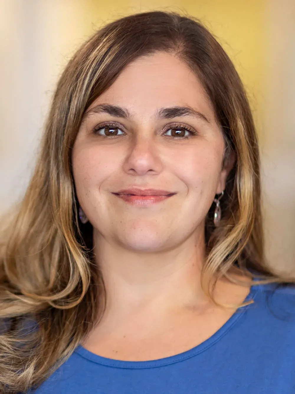 Dr. Lisa M. Dapuzzo-Argiriou, MD - Allentown, PA - Obstetrics & Gynecology