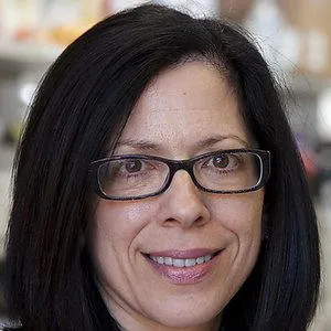 Dr. Elizabeth Marion Jaffee, MD - Baltimore, MD - Oncology, Internal Medicine