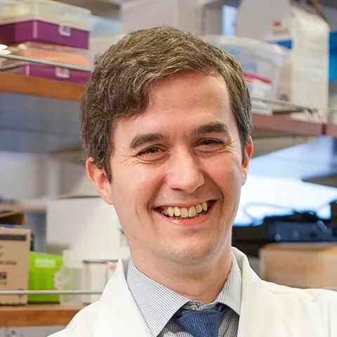 Dr. Conor Michael Liston, MD, PhD - New York, NY - Psychiatry