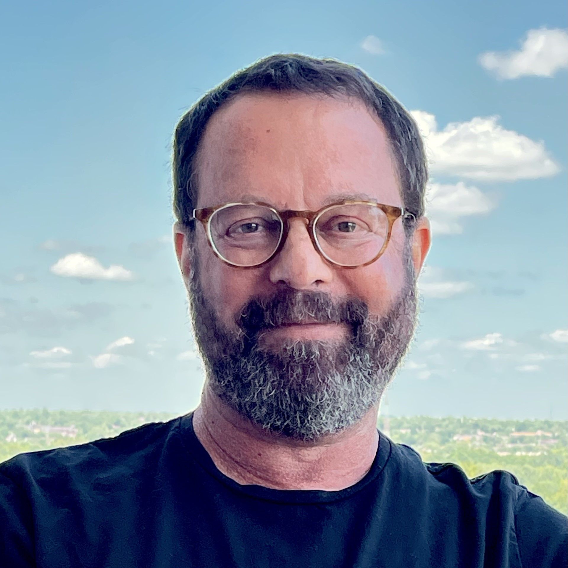 Dr. Larry E Shapiro, PhD - Saint Louis, MO - Psychology