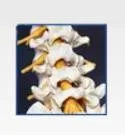 Dr. Edward F Bartek, DC - Easton, PA - Chiropractor