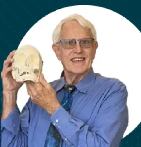 Dr. Daniel J Madock, DC - Tampa, FL - Chiropractor