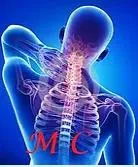 Dr. Meral Hedayi Elgendy, DC