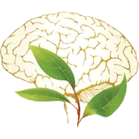 Dr. BNI Treatment Centers For Teens - Agoura Hills, CA - Psychiatry
