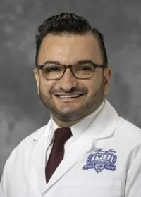 Nicolae M Stan, NP - Hamtramck, MI - Nurse Practitioner