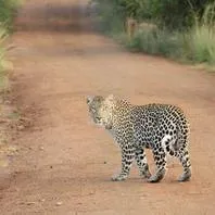 Dr. Adam Testprovider, D.O. - Nuiqsut, AK - Allergy & Immunology, Acupuncture, Cardiovascular Disease, Cardiovascular Surgery