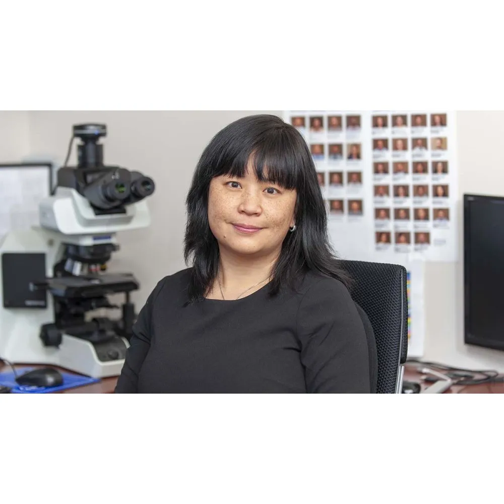 Dr. Bin Xu, MD, PhD - New York, NY - Pathology, Other, Pathologist