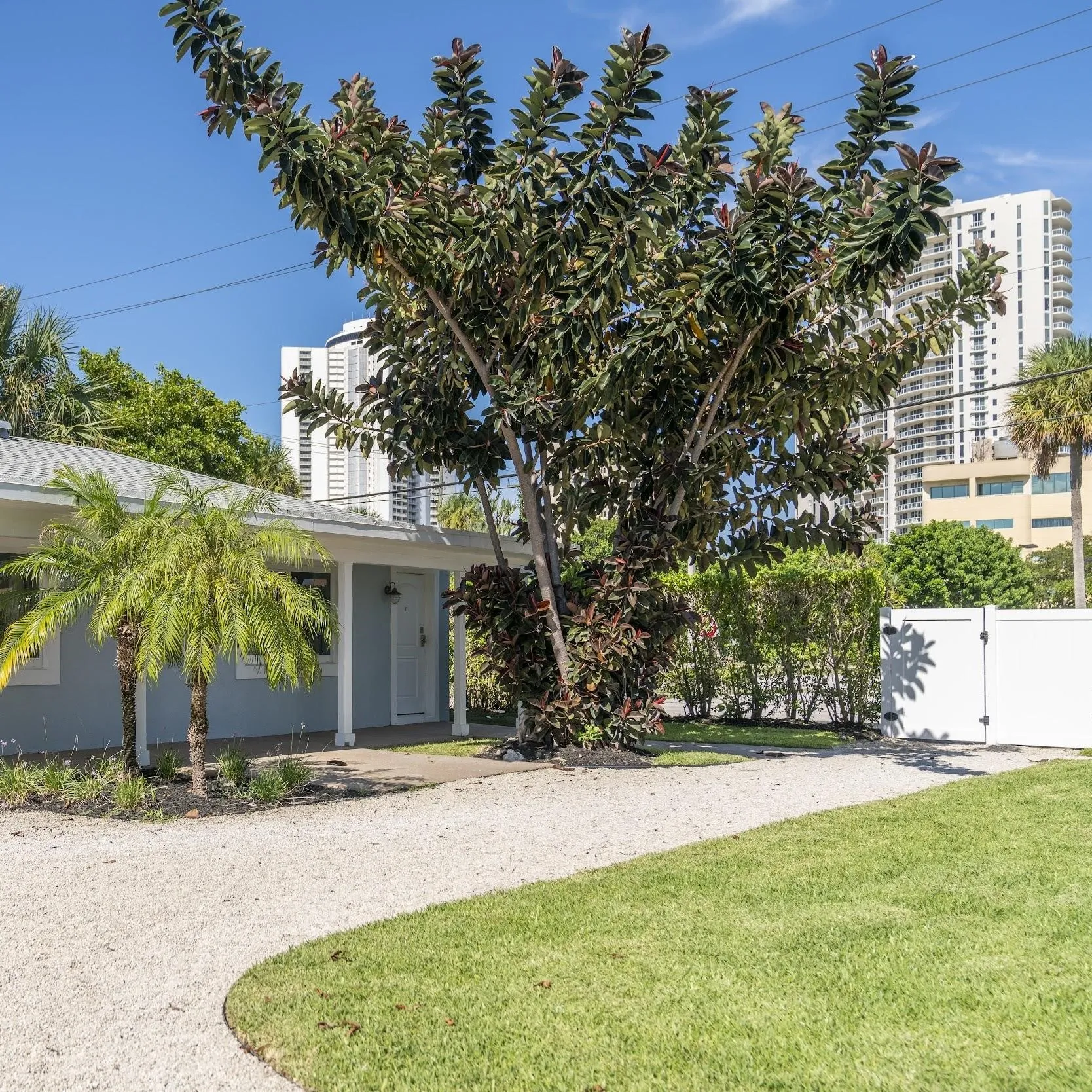 Dr. Singer Island Health
