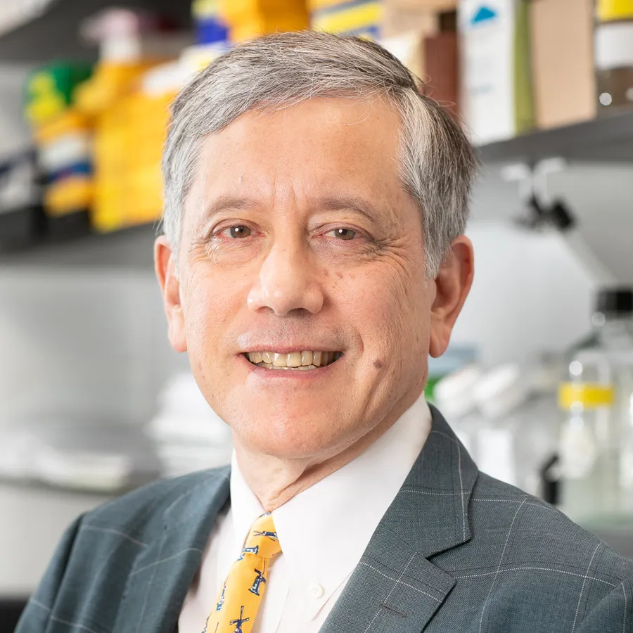 Dr. Timothy C Wang, MD