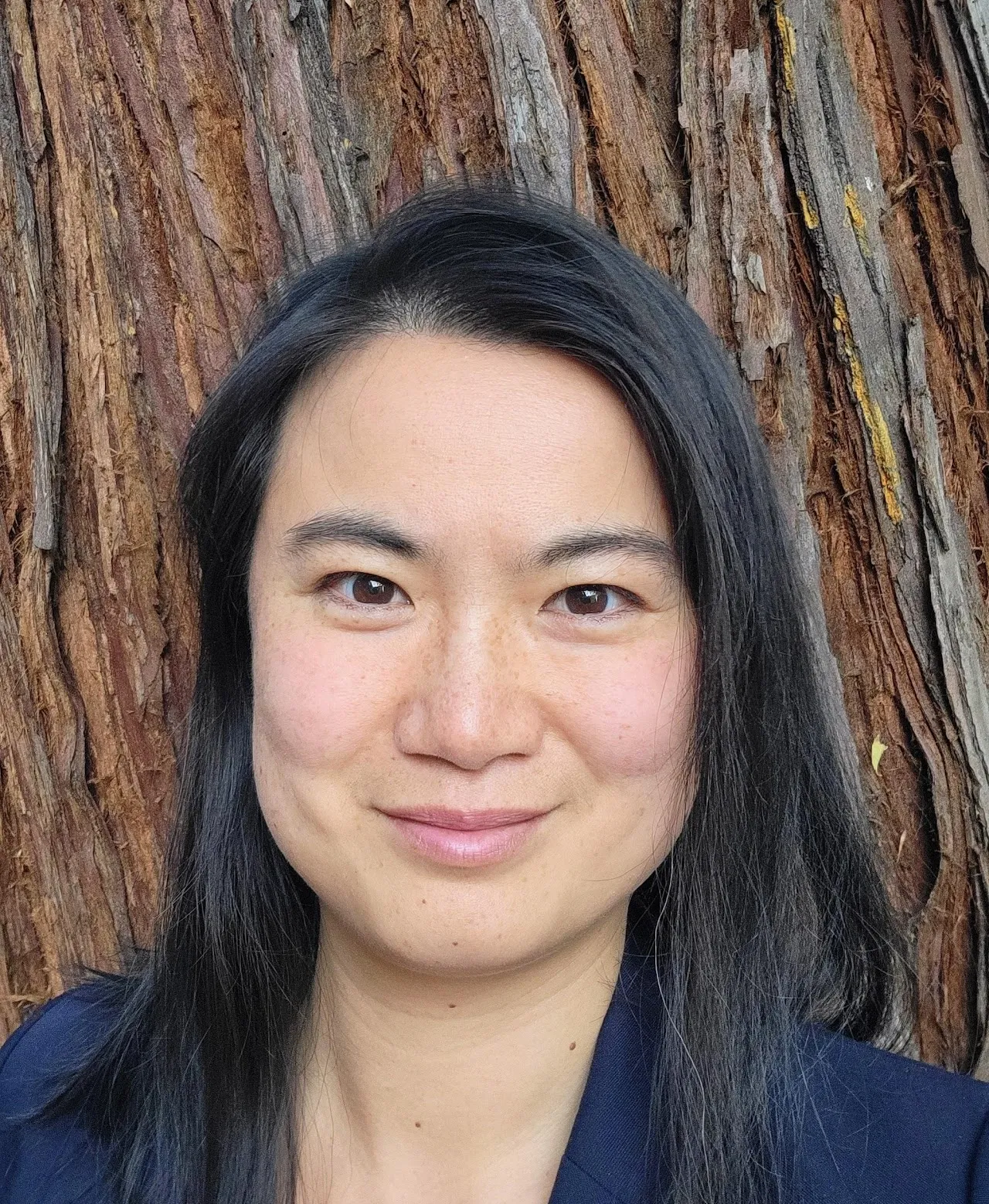 Dr. Haining Yu - San Francisco, CA - Psychiatry