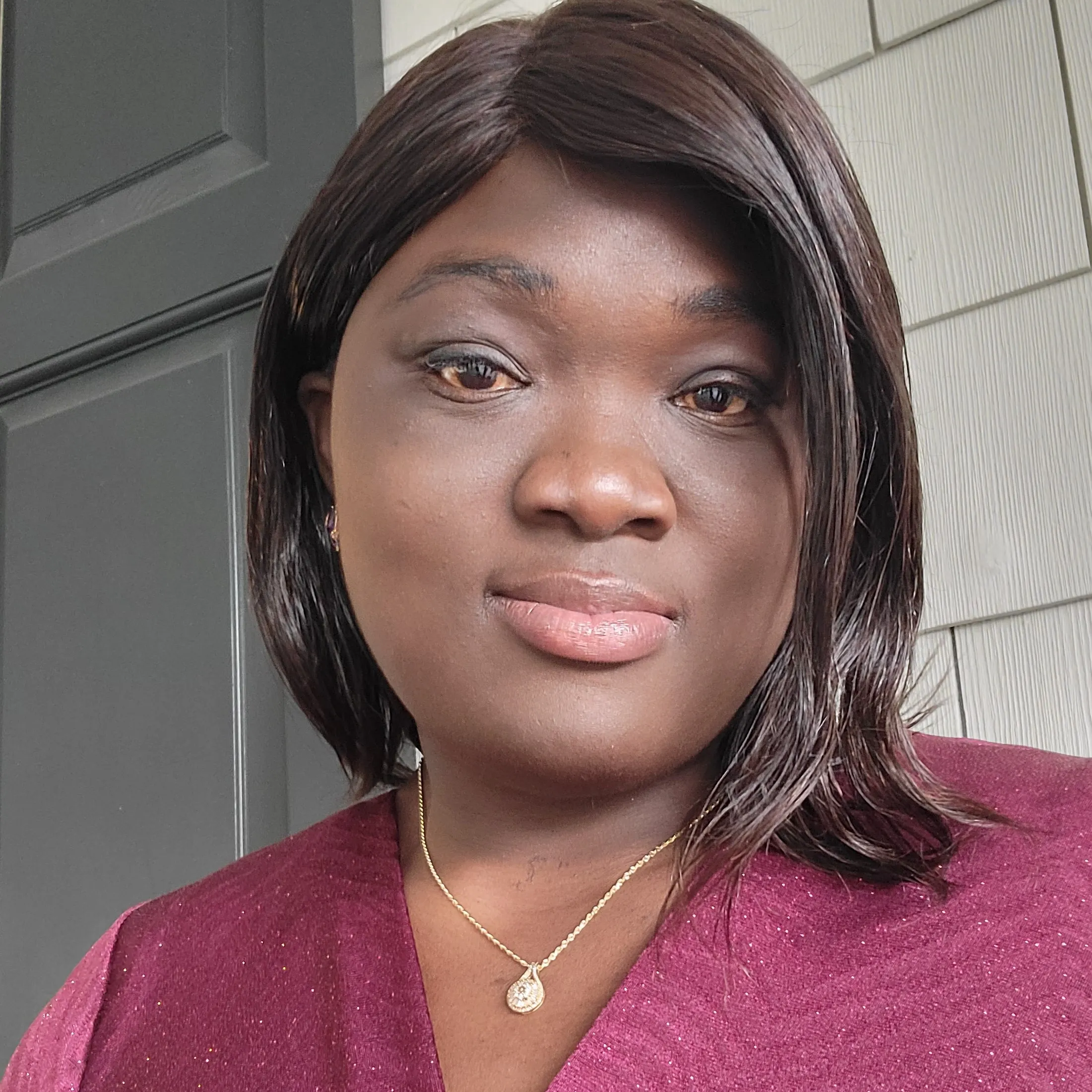 Dr. Dorsa H Seimaa