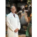 Dr. James Baumgartner - Orlando, FL - Neurological Surgery