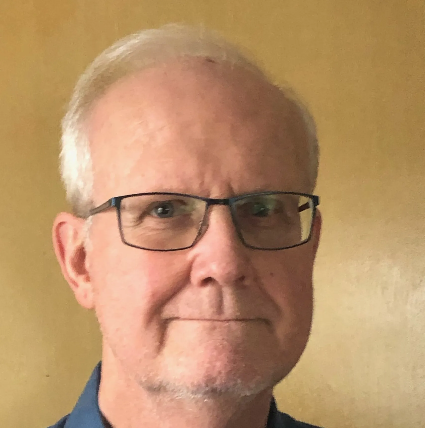 Dr. William Mcnichols - Hinsdale, IL - Psychology, Mental Health Counseling, Psychiatry