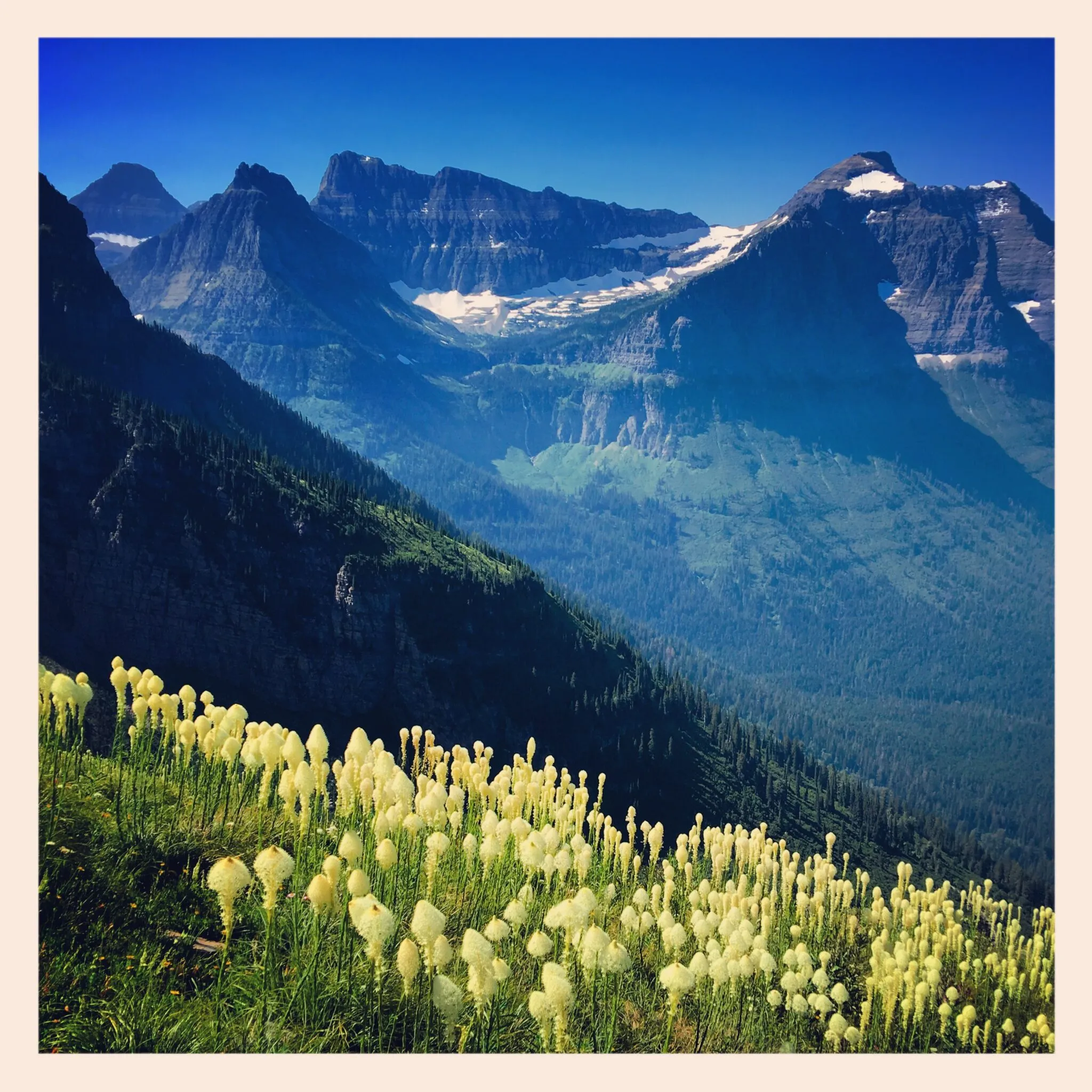 Dr. Melissa Kinyon - Portland, OR - Psychology, Mental Health Counseling, Psychiatry