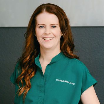 Dr. Michelle Wendt L.Ac., DACM - Austin, TX - Acupuncture, Holistic Medicine, Preventative Medicine 