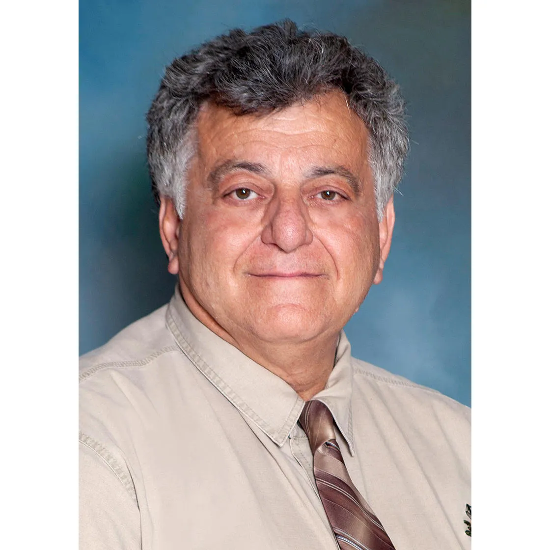 Dr. Spyro D Analytis, MD - Morris, IL - Internal Medicine
