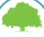 Banyan Palm Springs