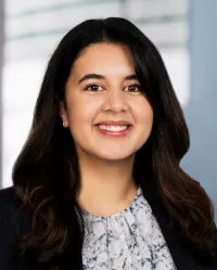 Namrata Nanavaty Vasquez, PhD - Houston, TX - Psychology
