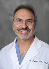 Dr. Louis D Andary Jr., MD - Brownstown Twp, MI - Obstetrics & Gynecology
