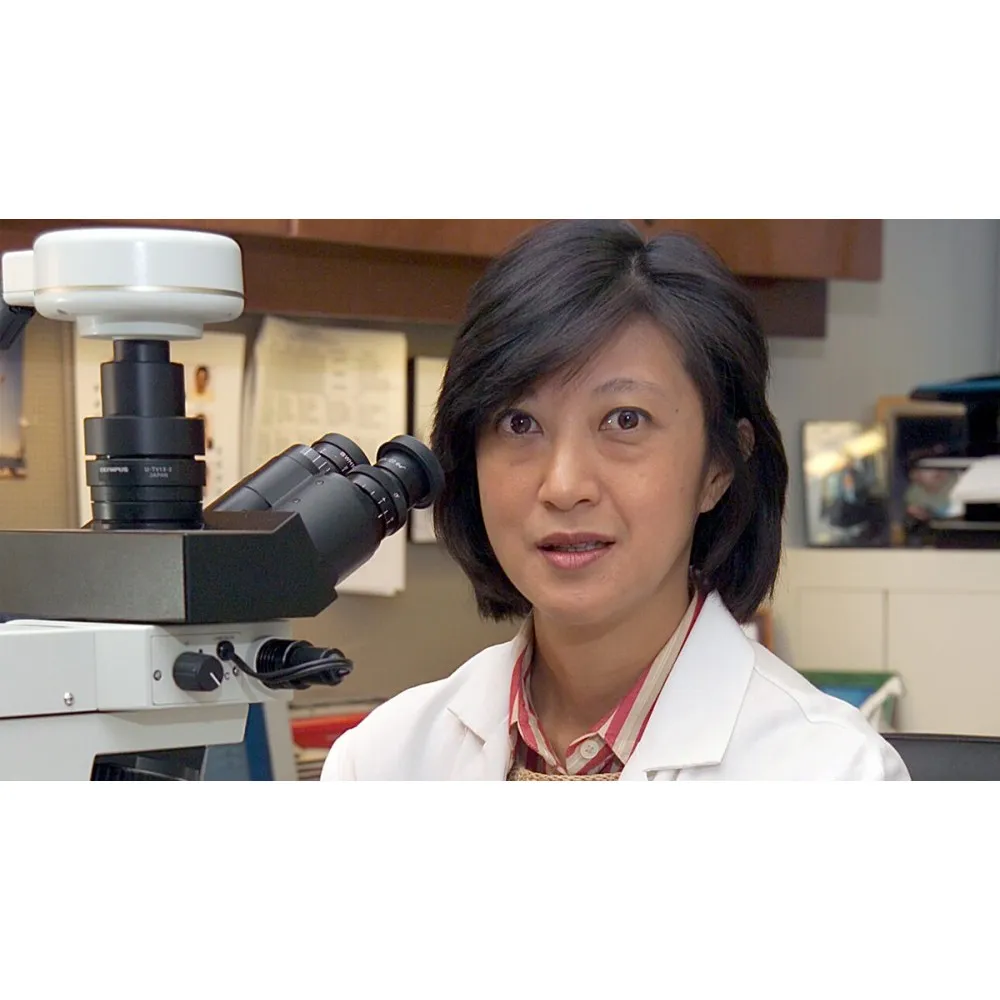 Dr. Lee K. Tan, MD - New York, NY - Pathology, Oncologist, Pathologist